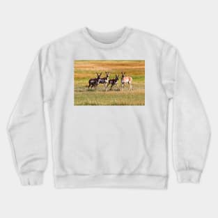 Pronghorn Antelope Crewneck Sweatshirt